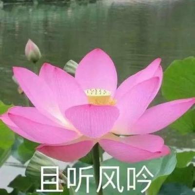 云南7月10日新增新冠肺炎本土确诊病例12例